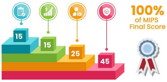PERFORMANCE CATEGORIES