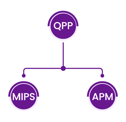 mips_macra